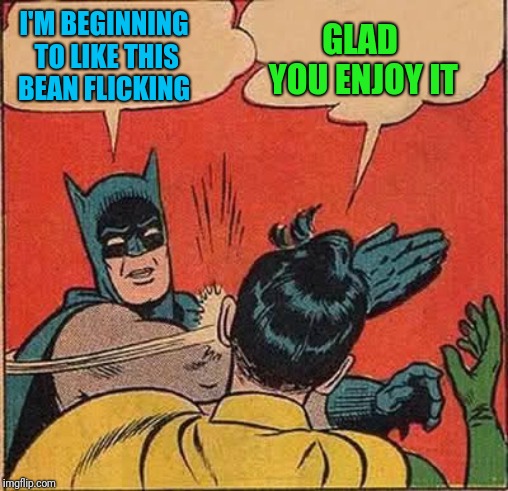 Batman Slapping Robin Reverse | I'M BEGINNING TO LIKE THIS BEAN FLICKING GLAD YOU ENJOY IT | image tagged in batman slapping robin reverse | made w/ Imgflip meme maker