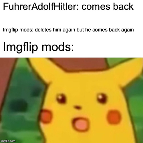 Surprised Pikachu Meme | FuhrerAdolfHitler: comes back Imgflip mods: deletes him again but he comes back again Imgflip mods: | image tagged in memes,surprised pikachu | made w/ Imgflip meme maker