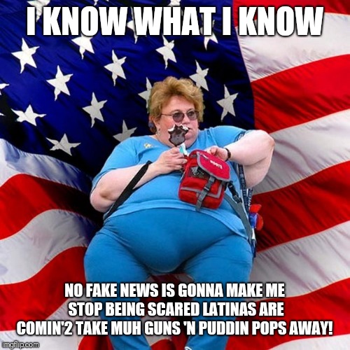 'Well Informed American'-Because some folks can't see past their fears 2 the truth;the REAL threat 2 America is @ White House! | I KNOW WHAT I KNOW; NO FAKE NEWS IS GONNA MAKE ME STOP BEING SCARED LATINAS ARE COMIN'2 TAKE MUH GUNS 'N PUDDIN POPS AWAY! | image tagged in deplorables,fake news,conservative hypocrisy,trump fake news,gun rights | made w/ Imgflip meme maker