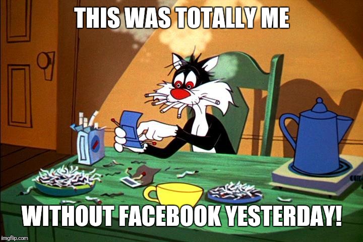 Sylvester the cat | THIS WAS TOTALLY ME; WITHOUT FACEBOOK YESTERDAY! | image tagged in sylvester the cat | made w/ Imgflip meme maker
