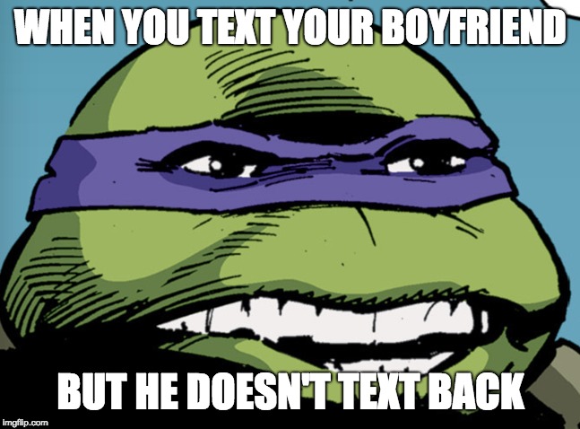 WHEN YOU TEXT YOUR BOYFRIEND; BUT HE DOESN'T TEXT BACK | image tagged in relationships,tmnt | made w/ Imgflip meme maker