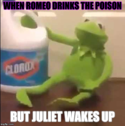 kermit sewer slide | WHEN ROMEO DRINKS THE POISON; BUT JULIET WAKES UP | image tagged in kermit sewer slide | made w/ Imgflip meme maker