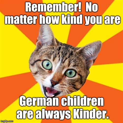 You Gotta Love Those Germans ;)#badpuns | Remember!  No matter how kind you are; German children are always Kinder. | image tagged in memes,bad advice cat,children,bad pun,cats,german | made w/ Imgflip meme maker
