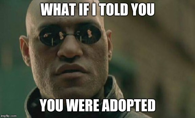 Matrix Morpheus Meme | WHAT IF I TOLD YOU; YOU WERE ADOPTED | image tagged in memes,matrix morpheus | made w/ Imgflip meme maker