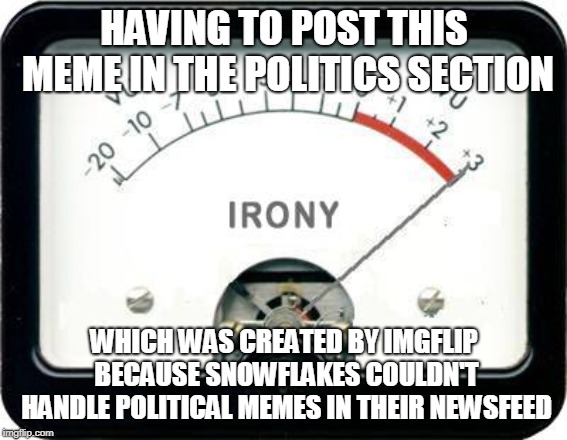 Irony Meter | HAVING TO POST THIS MEME IN THE POLITICS SECTION WHICH WAS CREATED BY IMGFLIP BECAUSE SNOWFLAKES COULDN'T HANDLE POLITICAL MEMES IN THEIR NE | image tagged in irony meter | made w/ Imgflip meme maker