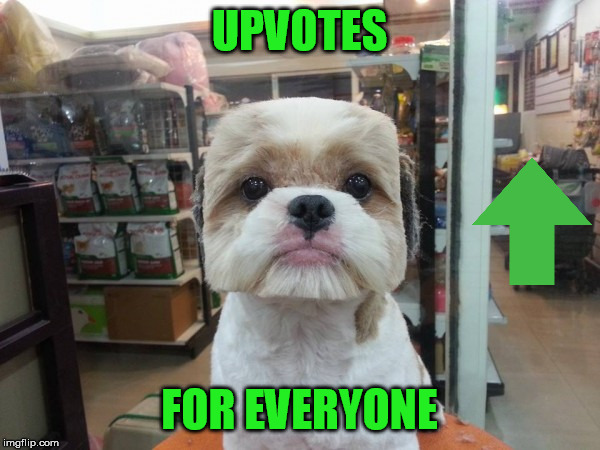 UPVOTES FOR EVERYONE | made w/ Imgflip meme maker