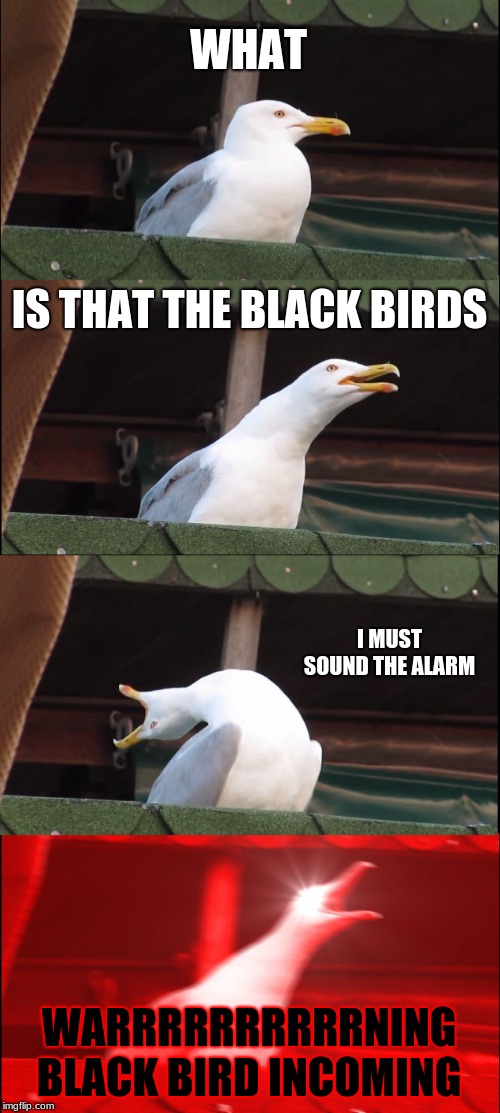 Inhaling Seagull Meme | WHAT; IS THAT THE BLACK BIRDS; I MUST SOUND THE ALARM; WARRRRRRRRRRNING BLACK BIRD INCOMING | image tagged in memes,inhaling seagull | made w/ Imgflip meme maker