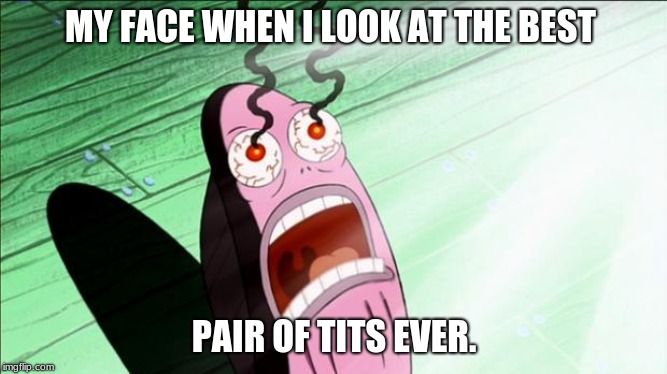 Spongebob My Eyes | MY FACE WHEN I LOOK AT THE BEST; PAIR OF TITS EVER. | image tagged in spongebob my eyes | made w/ Imgflip meme maker