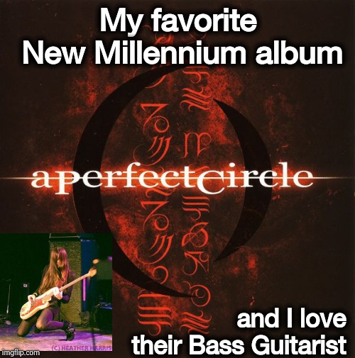 I am strangely not that crazy about Tool | My favorite New Millennium album; and I love their Bass Guitarist | image tagged in rock music,new,millennium falcon,hot,all about that bass | made w/ Imgflip meme maker