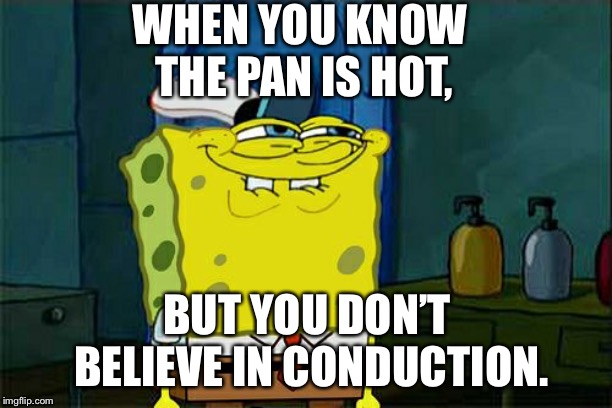 Don't You Squidward Meme | WHEN YOU KNOW THE PAN IS HOT, BUT YOU DON’T BELIEVE IN CONDUCTION. | image tagged in memes,dont you squidward | made w/ Imgflip meme maker