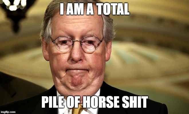 ole mitch | I AM A TOTAL; PILE OF HORSE SHIT | image tagged in goofball | made w/ Imgflip meme maker