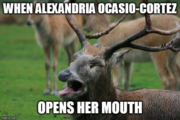 Disgusted Deer | WHEN ALEXANDRIA OCASIO-CORTEZ; OPENS HER MOUTH | image tagged in disgusted deer,alexandria ocasio-cortez,stupid liberals | made w/ Imgflip meme maker