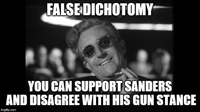 dr strangelove | FALSE DICHOTOMY YOU CAN SUPPORT SANDERS AND DISAGREE WITH HIS GUN STANCE | image tagged in dr strangelove | made w/ Imgflip meme maker