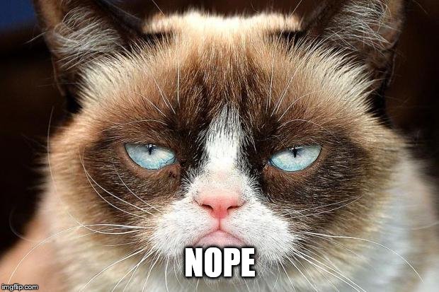 Grumpy Cat Not Amused Meme | NOPE | image tagged in memes,grumpy cat not amused,grumpy cat | made w/ Imgflip meme maker
