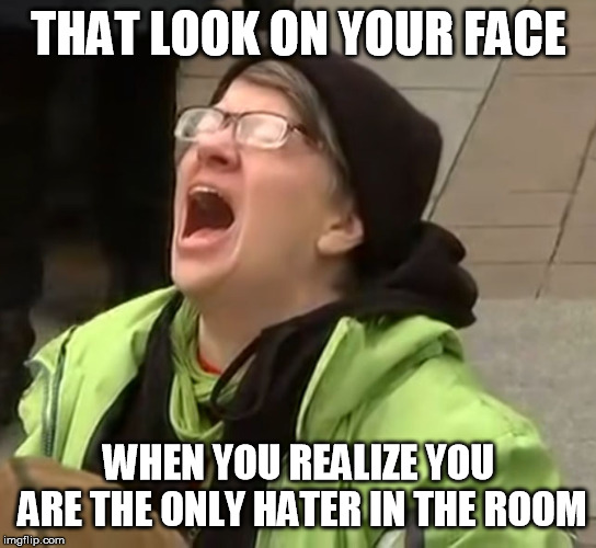Just sayin', the only real haters I see are Democrats. | THAT LOOK ON YOUR FACE; WHEN YOU REALIZE YOU ARE THE ONLY HATER IN THE ROOM | image tagged in snowflake | made w/ Imgflip meme maker