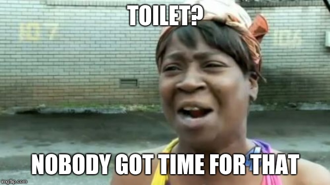 Ain't Nobody Got Time For That Meme | TOILET? NOBODY GOT TIME FOR THAT | image tagged in memes,aint nobody got time for that | made w/ Imgflip meme maker