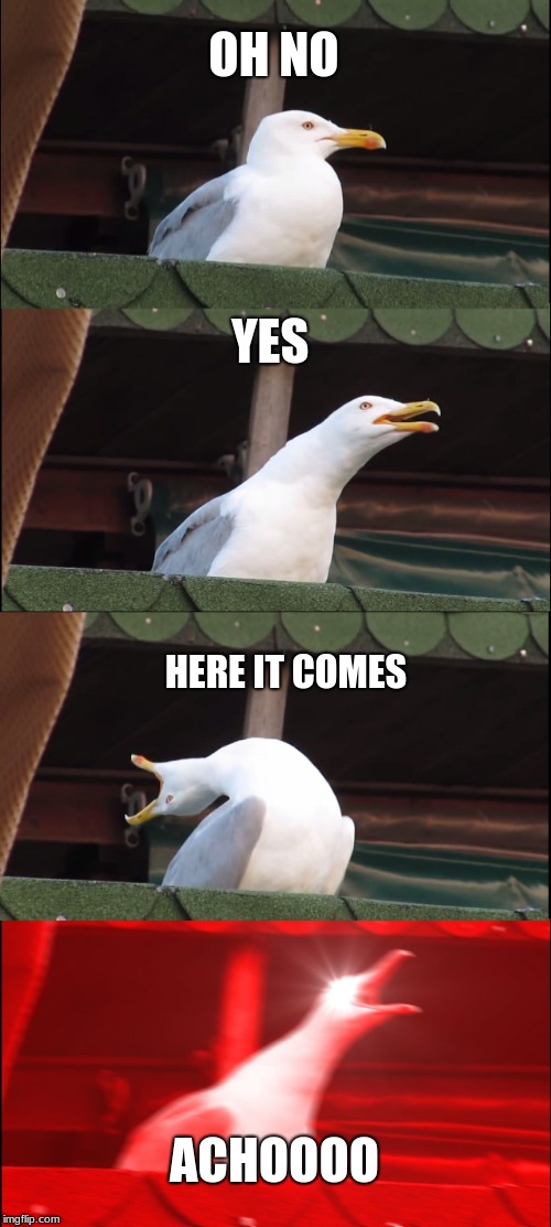 Inhaling Seagull | OH NO; YES; HERE IT COMES; ACHOOOO | image tagged in memes,inhaling seagull | made w/ Imgflip meme maker