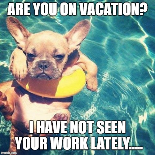 Summer is here dog pug | ARE YOU ON VACATION? I HAVE NOT SEEN YOUR WORK LATELY..... | image tagged in summer is here dog pug | made w/ Imgflip meme maker