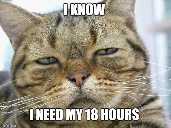 Sleepy Cat | I KNOW I NEED MY 18 HOURS | image tagged in sleepy cat | made w/ Imgflip meme maker