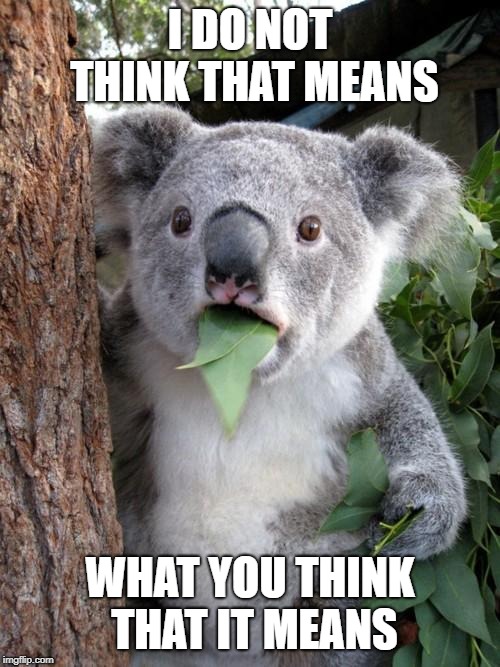 Surprised Koala Meme | I DO NOT THINK THAT MEANS; WHAT YOU THINK THAT IT MEANS | image tagged in memes,surprised koala | made w/ Imgflip meme maker