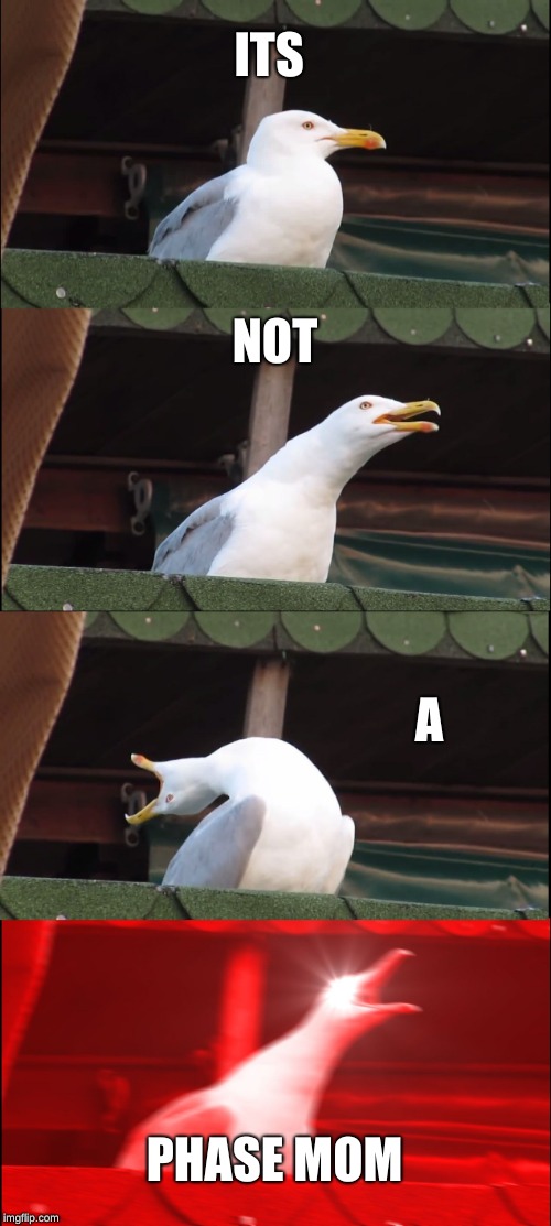 Inhaling Seagull Meme | ITS; NOT; A; PHASE MOM | image tagged in memes,inhaling seagull | made w/ Imgflip meme maker
