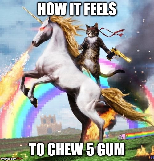 Welcome To The Internets | HOW IT FEELS; TO CHEW 5 GUM | image tagged in memes,welcome to the internets | made w/ Imgflip meme maker