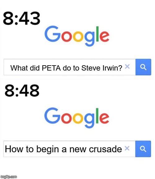 Rits rime ror a rucking rusade. | What did PETA do to Steve Irwin? How to begin a new crusade | image tagged in google before after,memes,funny,google,peta,steve irwin | made w/ Imgflip meme maker
