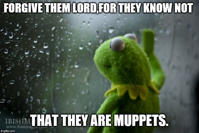 kermit window | FORGIVE THEM LORD,FOR THEY KNOW NOT THAT THEY ARE MUPPETS. | image tagged in kermit window | made w/ Imgflip meme maker