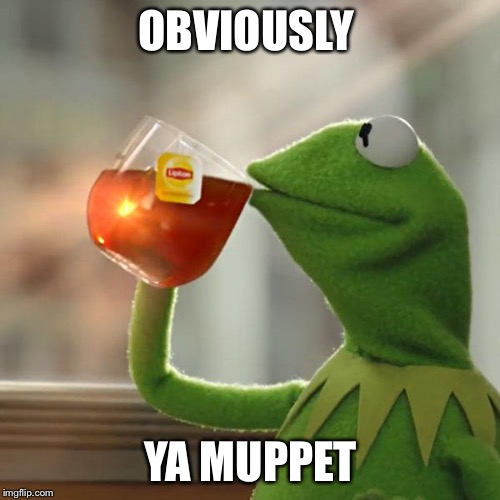 But That's None Of My Business Meme | OBVIOUSLY YA MUPPET | image tagged in memes,but thats none of my business,kermit the frog | made w/ Imgflip meme maker