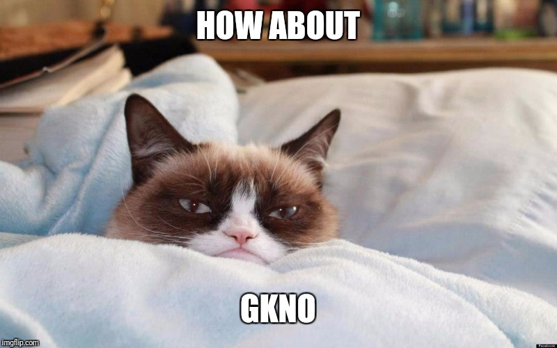 grumpy cat bed | HOW ABOUT GKNO | image tagged in grumpy cat bed | made w/ Imgflip meme maker