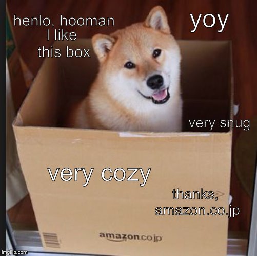 Box. Doggo Week March 10-16 a Blaze_the_Blaziken and 1forpeace Event | henlo, hooman; yoy; l like this box; very snug; very cozy; thanks, amazon.co.jp | image tagged in doge in box,memes,shiba inu,box,amazon | made w/ Imgflip meme maker
