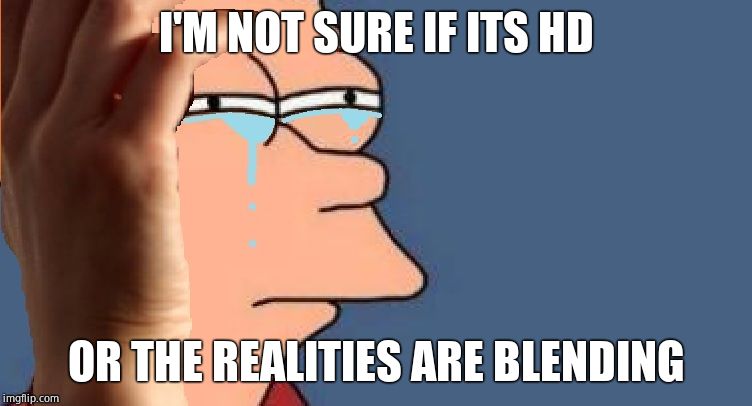 fry world problems bl4h | I'M NOT SURE IF ITS HD; OR THE REALITIES ARE BLENDING | image tagged in fry world problems bl4h | made w/ Imgflip meme maker