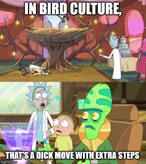 IN BIRD CULTURE, THAT'S A DICK MOVE WITH EXTRA STEPS | image tagged in rick and morty-extra steps | made w/ Imgflip meme maker