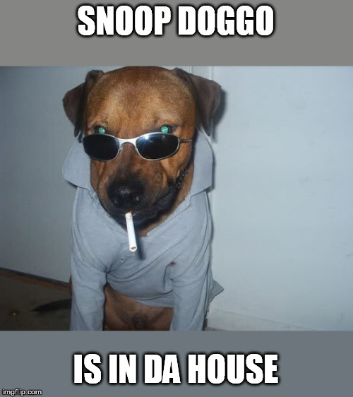 SNOOP DOGGO IS IN DA HOUSE | made w/ Imgflip meme maker