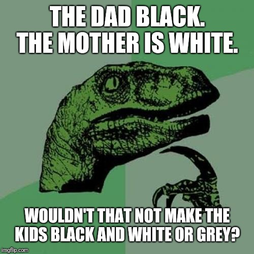 Philosoraptor Meme | THE DAD BLACK. THE MOTHER IS WHITE. WOULDN'T THAT NOT MAKE THE KIDS BLACK AND WHITE OR GREY? | image tagged in memes,philosoraptor | made w/ Imgflip meme maker