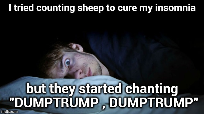 Night Terror | I tried counting sheep to cure my insomnia but they started chanting "DUMPTRUMP , DUMPTRUMP" | image tagged in night terror | made w/ Imgflip meme maker