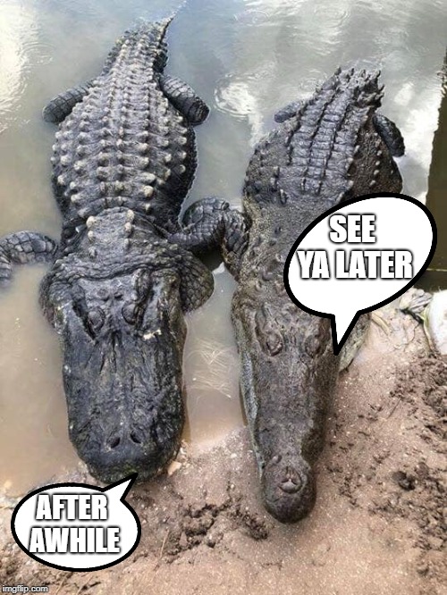 Can you tell the difference now? | SEE YA LATER; AFTER AWHILE | image tagged in funny,funny memes | made w/ Imgflip meme maker