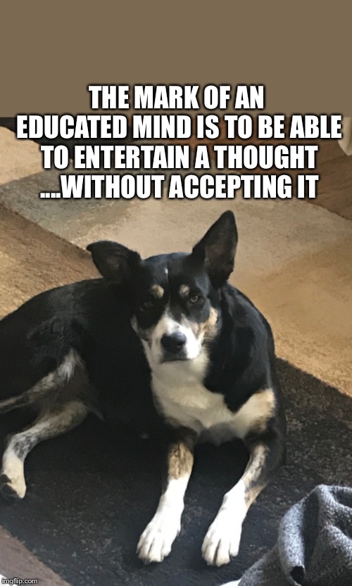 THE MARK OF AN EDUCATED MIND IS TO BE ABLE TO ENTERTAIN A THOUGHT ....WITHOUT ACCEPTING IT | image tagged in border collie | made w/ Imgflip meme maker
