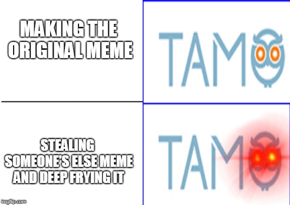 MAKING THE ORIGINAL MEME; STEALING SOMEONE'S ELSE MEME AND DEEP FRYING IT | image tagged in tamo bird normal and angry | made w/ Imgflip meme maker