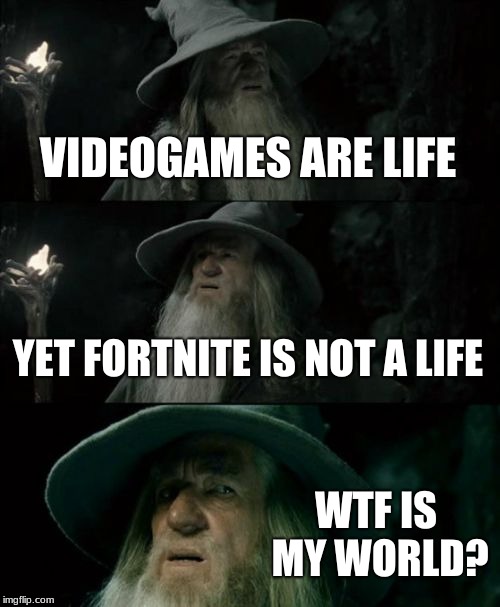 Confused Gandalf Meme | VIDEOGAMES ARE LIFE; YET FORTNITE IS NOT A LIFE; WTF IS MY WORLD? | image tagged in memes,confused gandalf | made w/ Imgflip meme maker