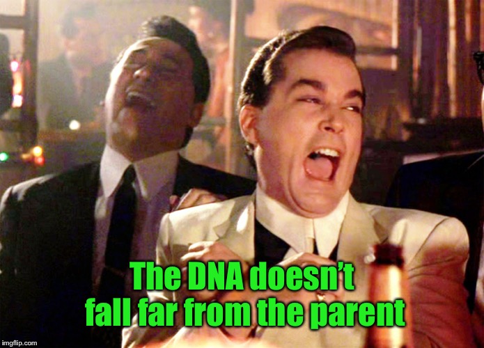 Good Fellas Hilarious Meme | The DNA doesn’t fall far from the parent | image tagged in memes,good fellas hilarious | made w/ Imgflip meme maker