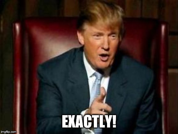 Donald Trump | EXACTLY! | image tagged in donald trump | made w/ Imgflip meme maker