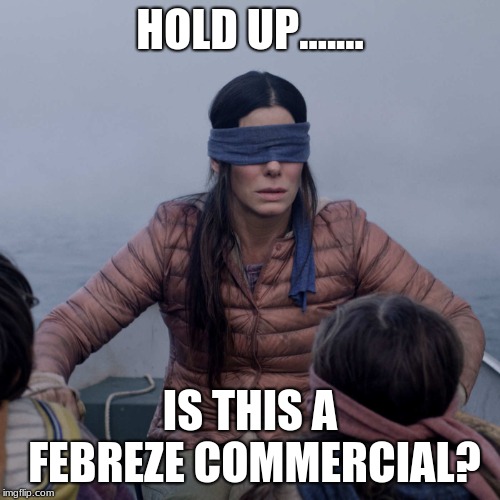 Bird Box | HOLD UP....... IS THIS A FEBREZE COMMERCIAL? | image tagged in memes,bird box | made w/ Imgflip meme maker