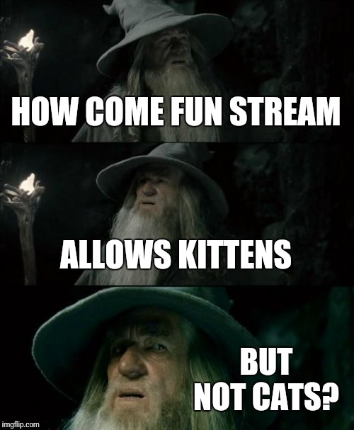 Confused Gandalf | HOW COME FUN STREAM; ALLOWS KITTENS; BUT NOT CATS? | image tagged in memes,confused gandalf | made w/ Imgflip meme maker