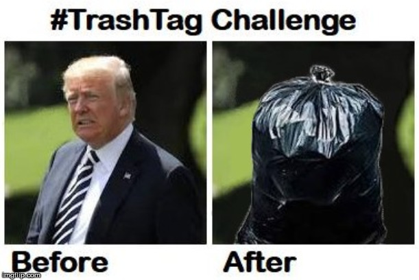 the real challenge | image tagged in politics,donald trump,trump,trash,funny | made w/ Imgflip meme maker