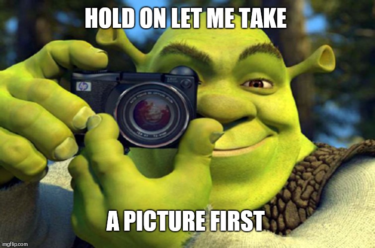 shrek camera | HOLD ON LET ME TAKE A PICTURE FIRST | image tagged in shrek camera | made w/ Imgflip meme maker