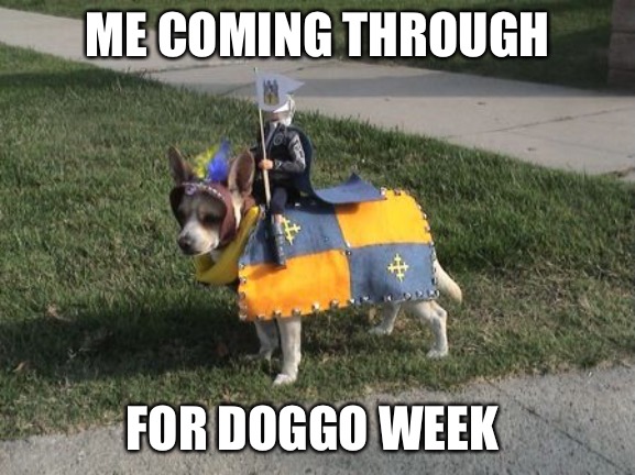 Getting down for Doggo Week! | ME COMING THROUGH; FOR DOGGO WEEK | image tagged in dog calvary,doggo week,memes,funny,animals,dogs | made w/ Imgflip meme maker