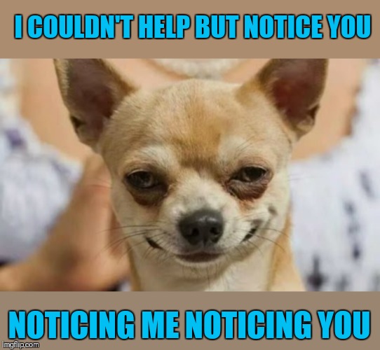 Doggo Week March 10-16 (A Blaze_the_Blaziken and 1forpiece event) | I COULDN'T HELP BUT NOTICE YOU; NOTICING ME NOTICING YOU | image tagged in memes,funny,flirting,rango,doggo week,dogs | made w/ Imgflip meme maker