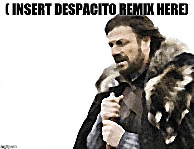 Brace Yourselves X is Coming Meme | ( INSERT DESPACITO REMIX HERE) | image tagged in memes,brace yourselves x is coming | made w/ Imgflip meme maker