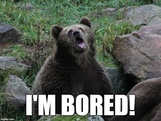 Sarcastic Bear | I'M BORED! | image tagged in sarcastic bear | made w/ Imgflip meme maker